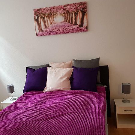 Wiesenblume Apartment Schönau im Schwarzwald Екстериор снимка