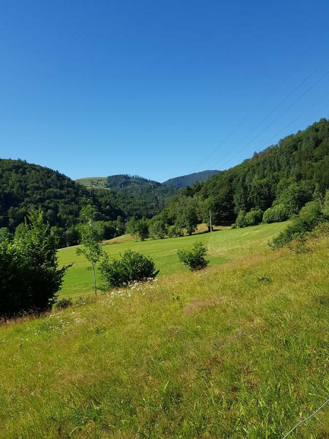 Wiesenblume Apartment Schönau im Schwarzwald Екстериор снимка