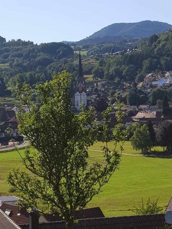 Wiesenblume Apartment Schönau im Schwarzwald Екстериор снимка