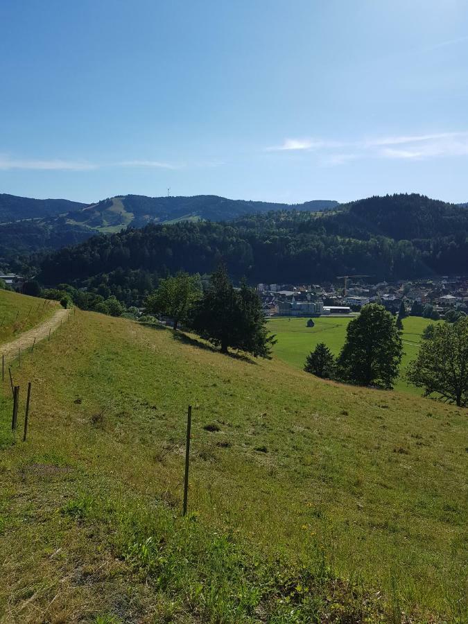 Wiesenblume Apartment Schönau im Schwarzwald Екстериор снимка
